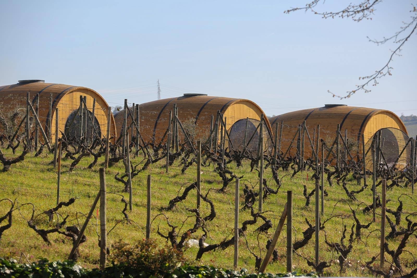 BPI financia expansão da Quinta da Pacheca com 1,8 milhões de euros