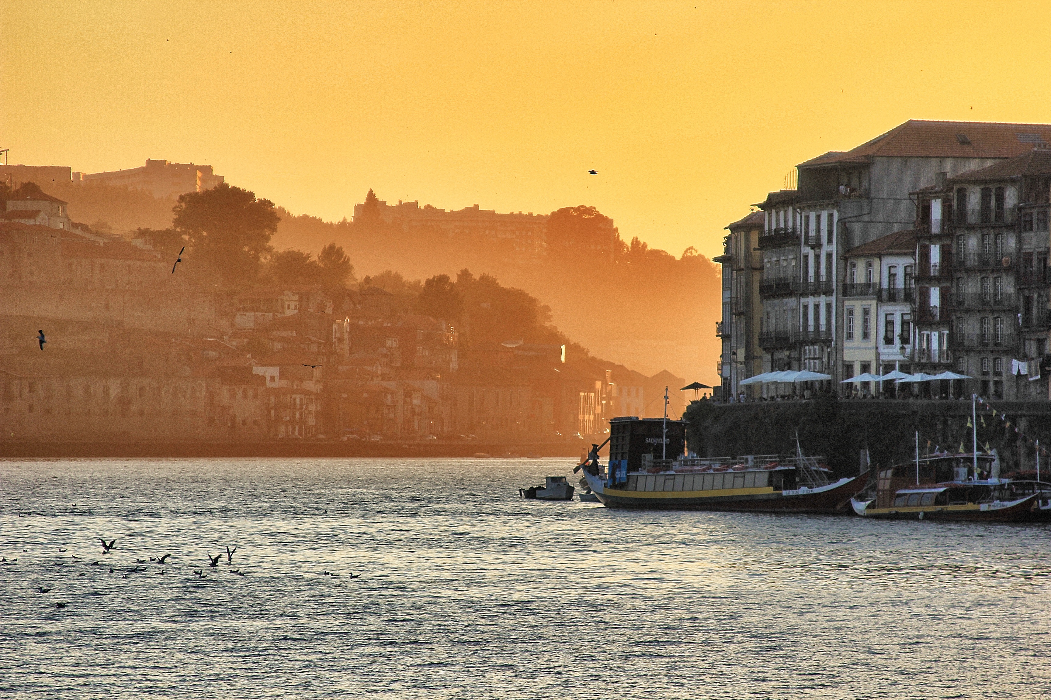 Chastagner Thierry/Unsplash