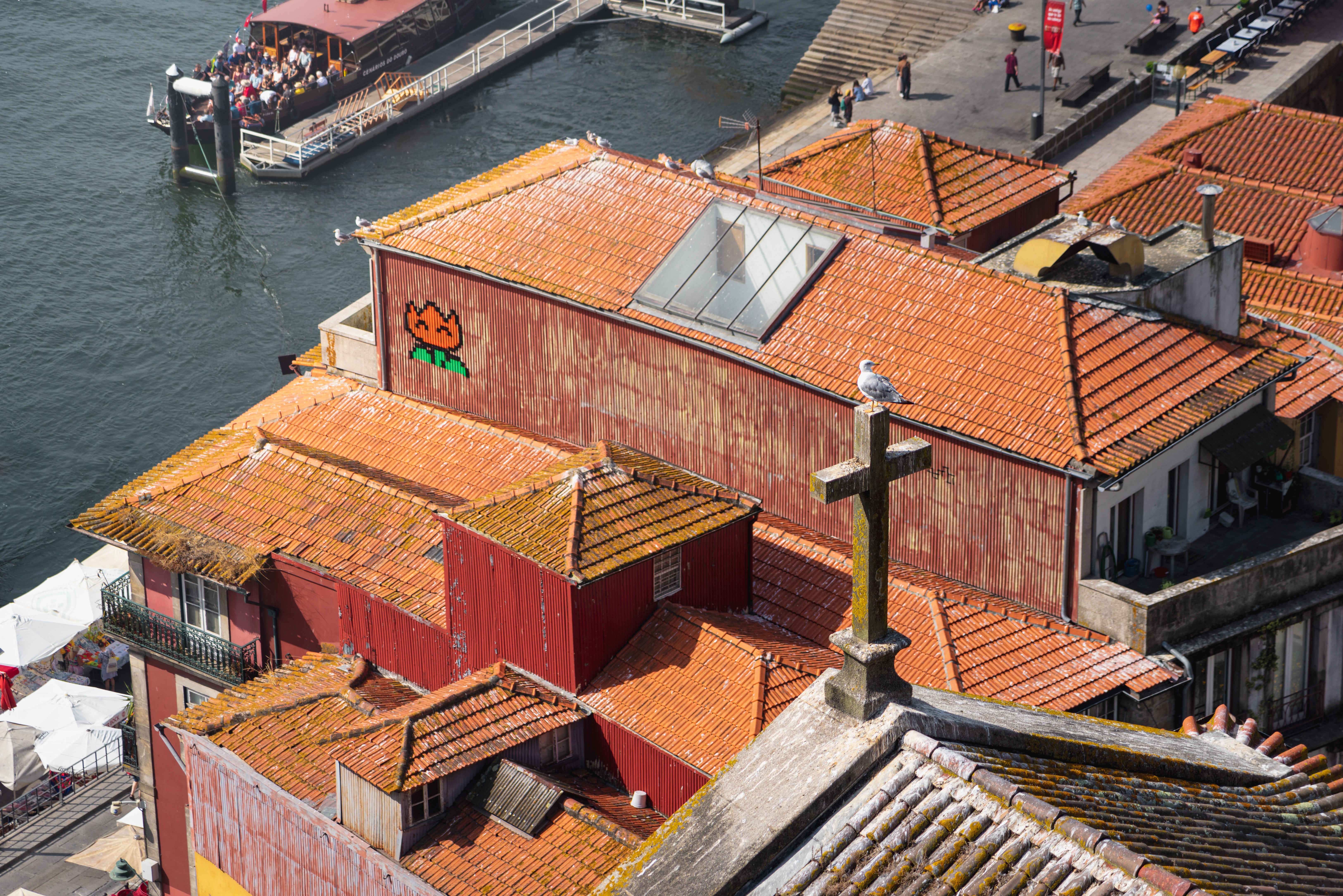 Photo by Daniel Seßler on Unsplash