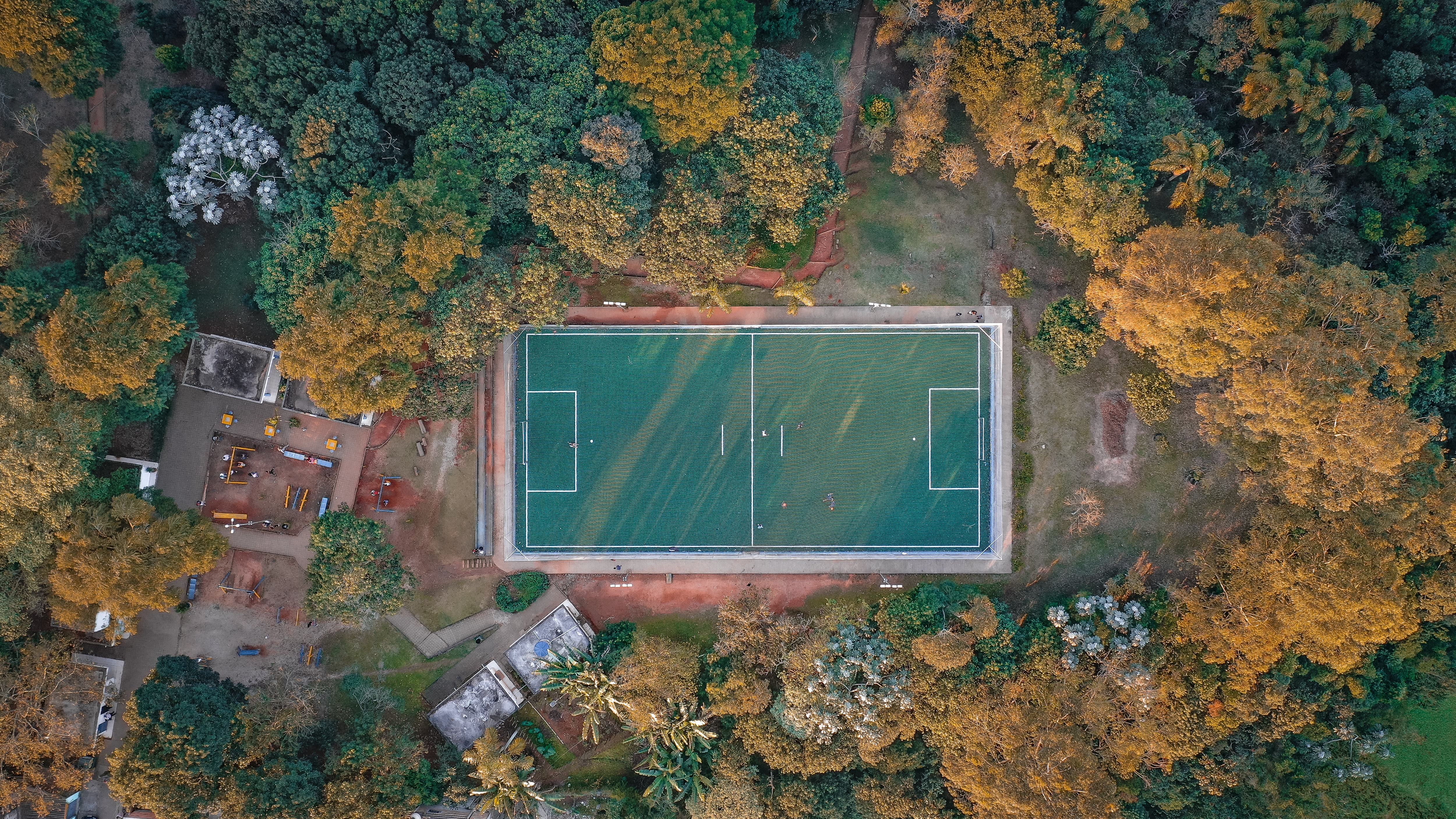 Photo by sergio souza on Unsplash