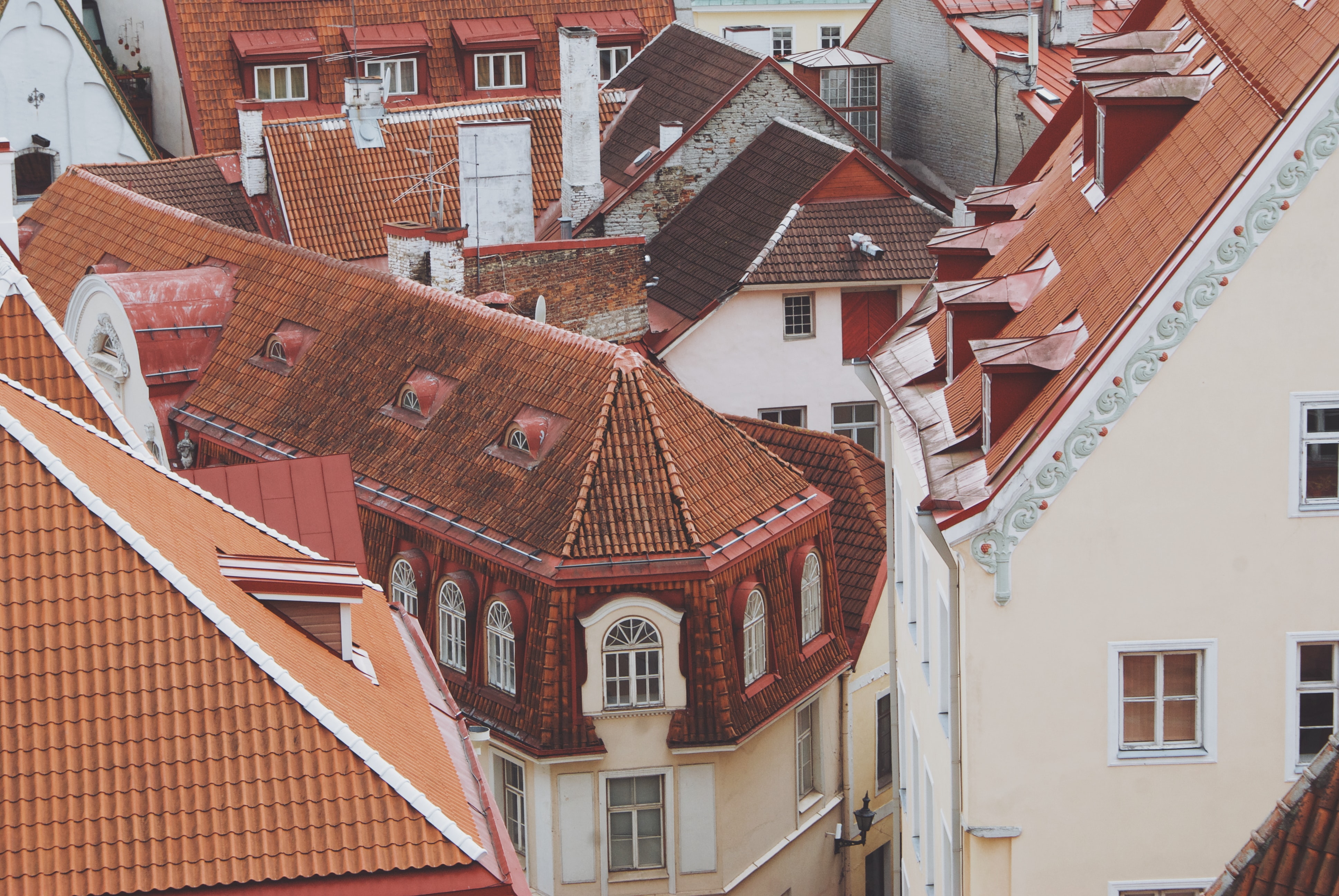 Photo by Aleks Dorohovich on Unsplash