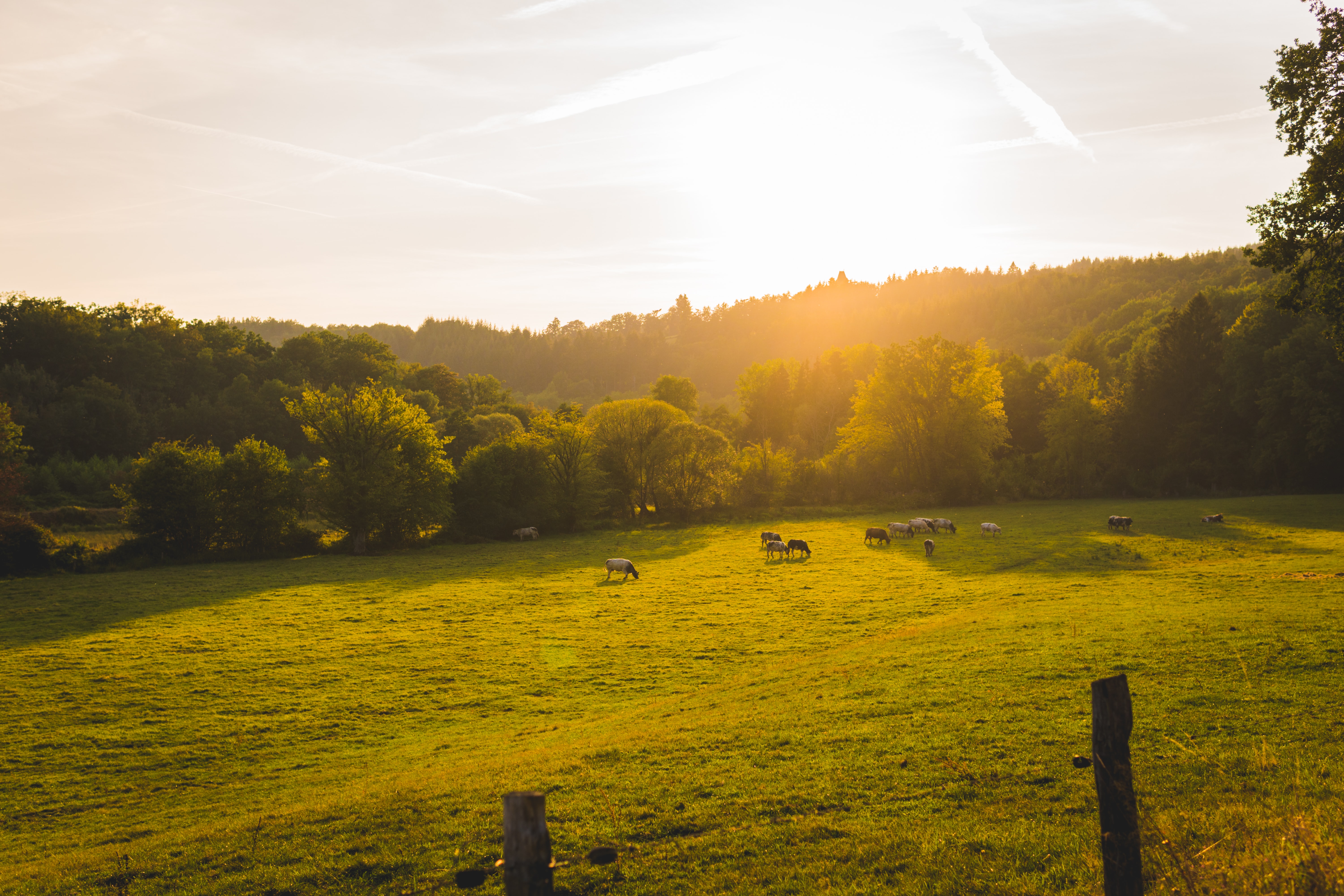 Photo by Lloyd Dirks on Unsplash