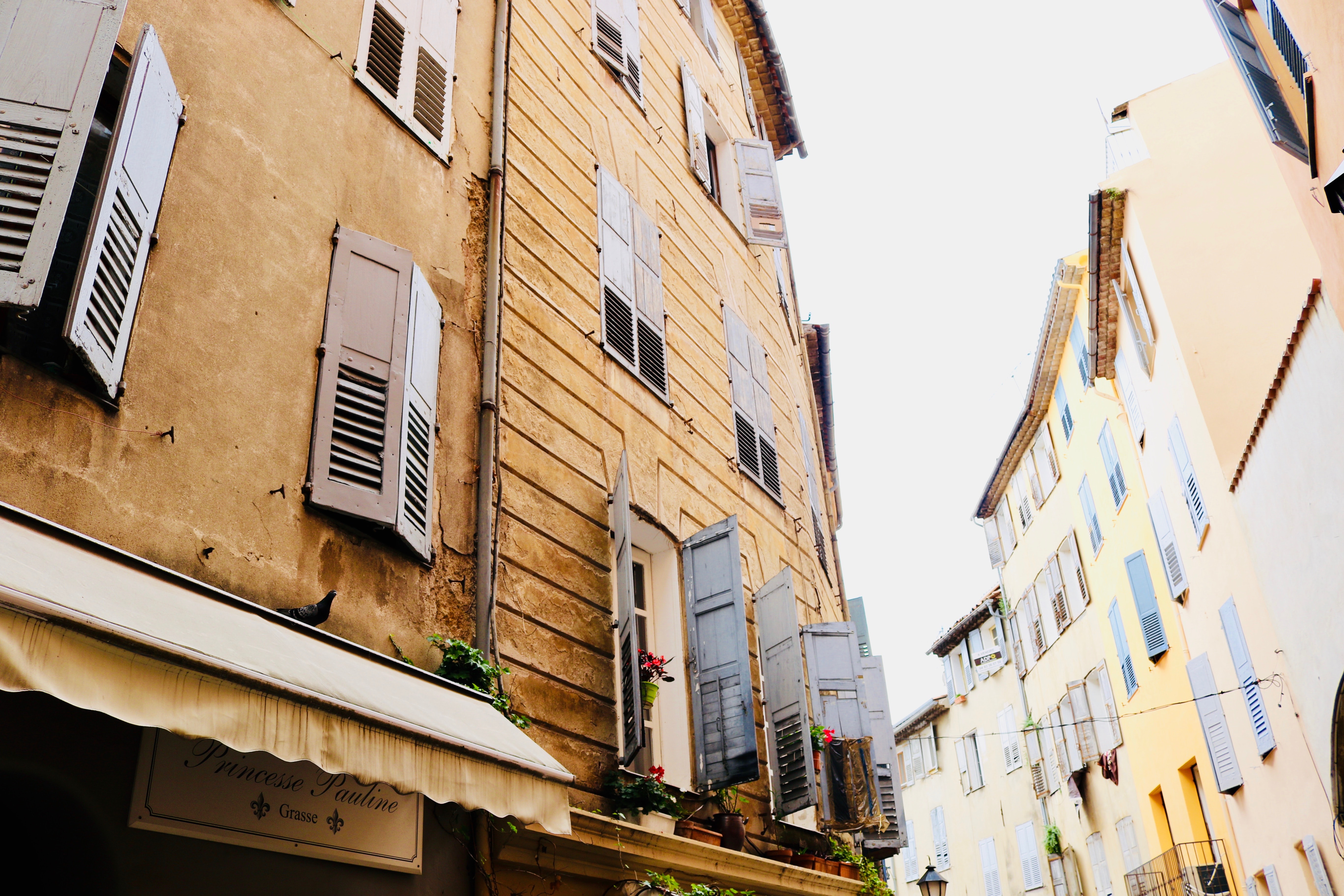 Photo by Roxana Crusemire on Unsplash