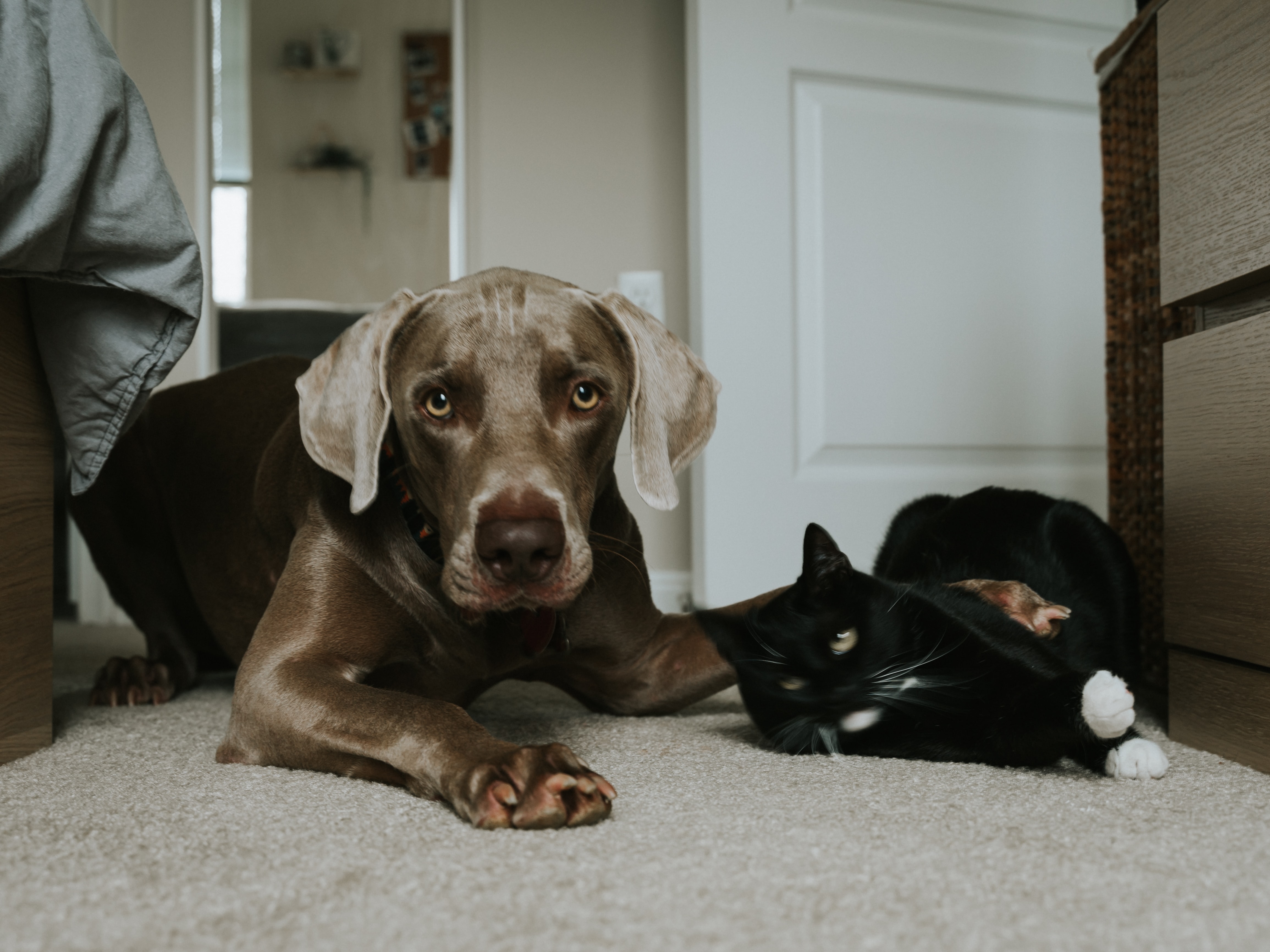 Tatiana Rodriguez on Unsplash