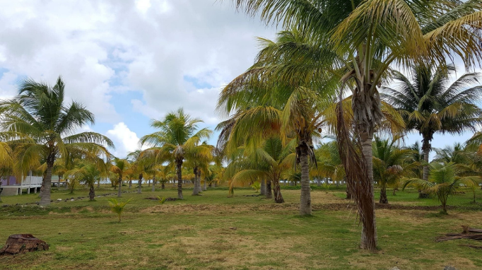 Natureza