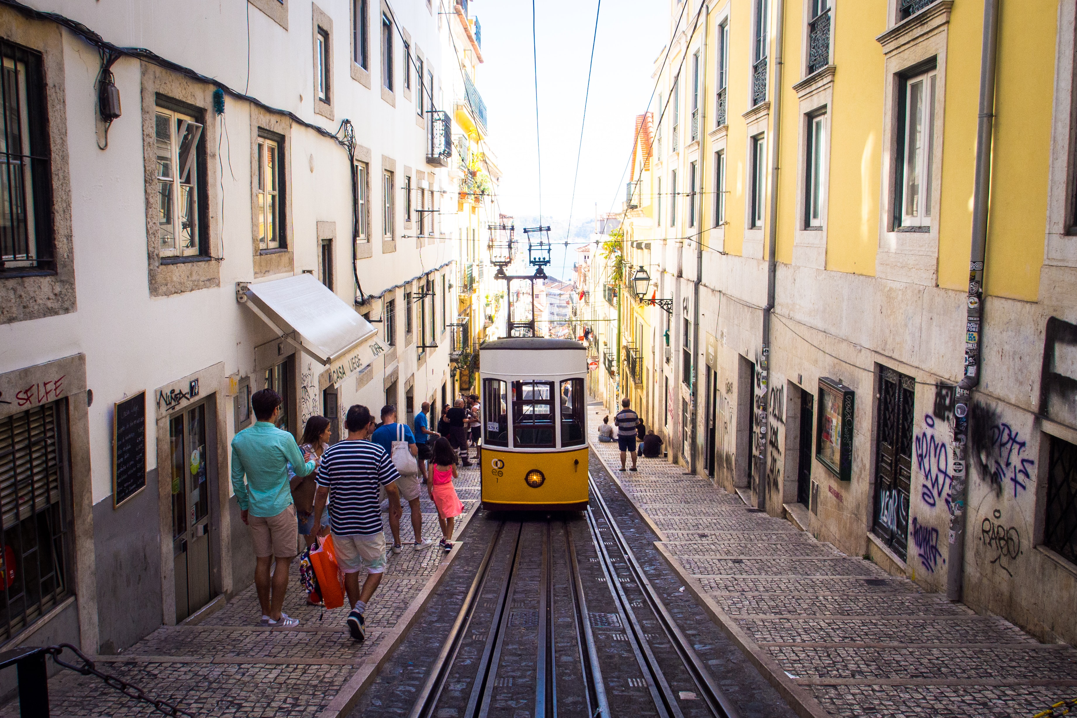 Claudio Schwarz | @purzlbaum on Unsplash