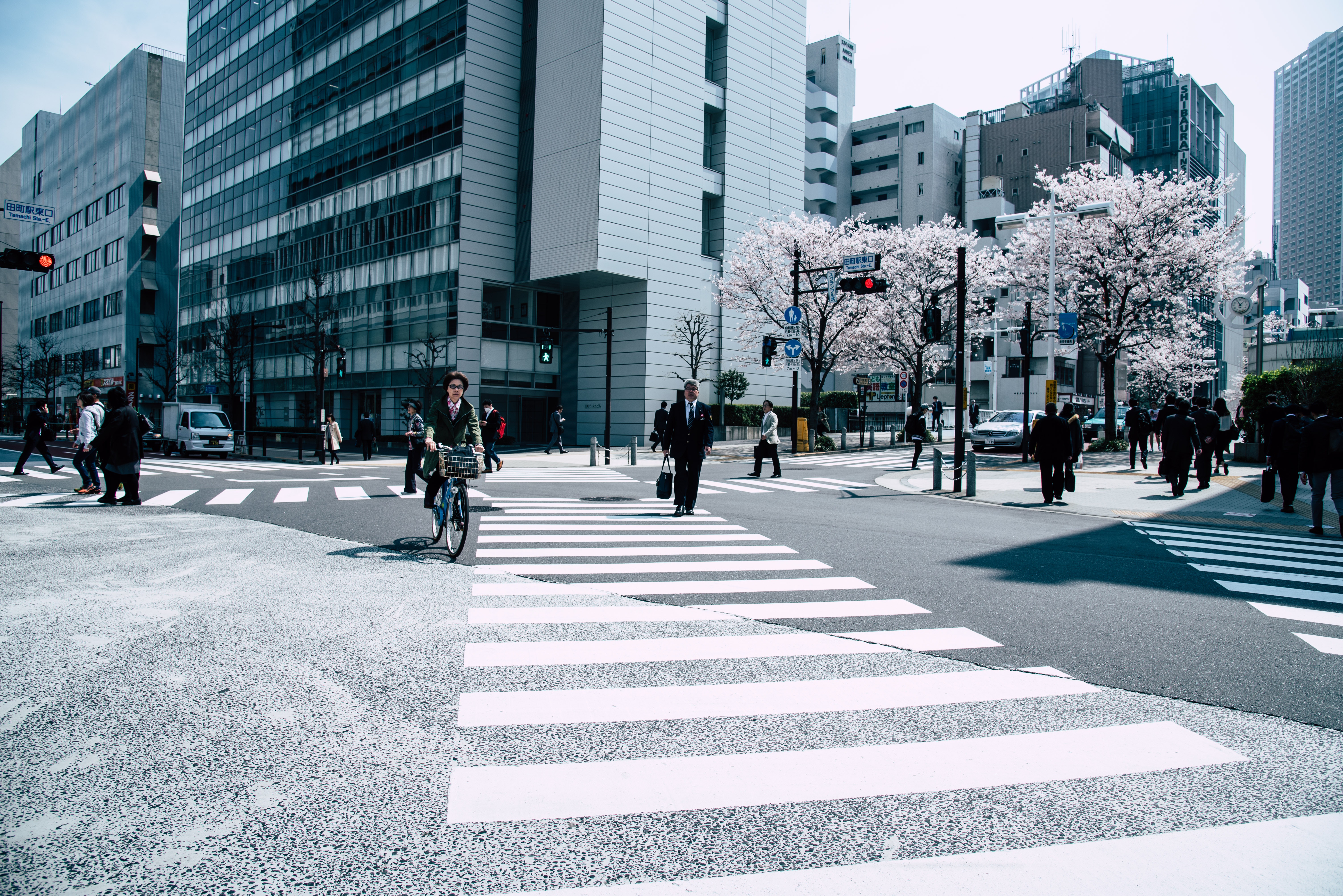 Foto de Abby Chung en Pexels