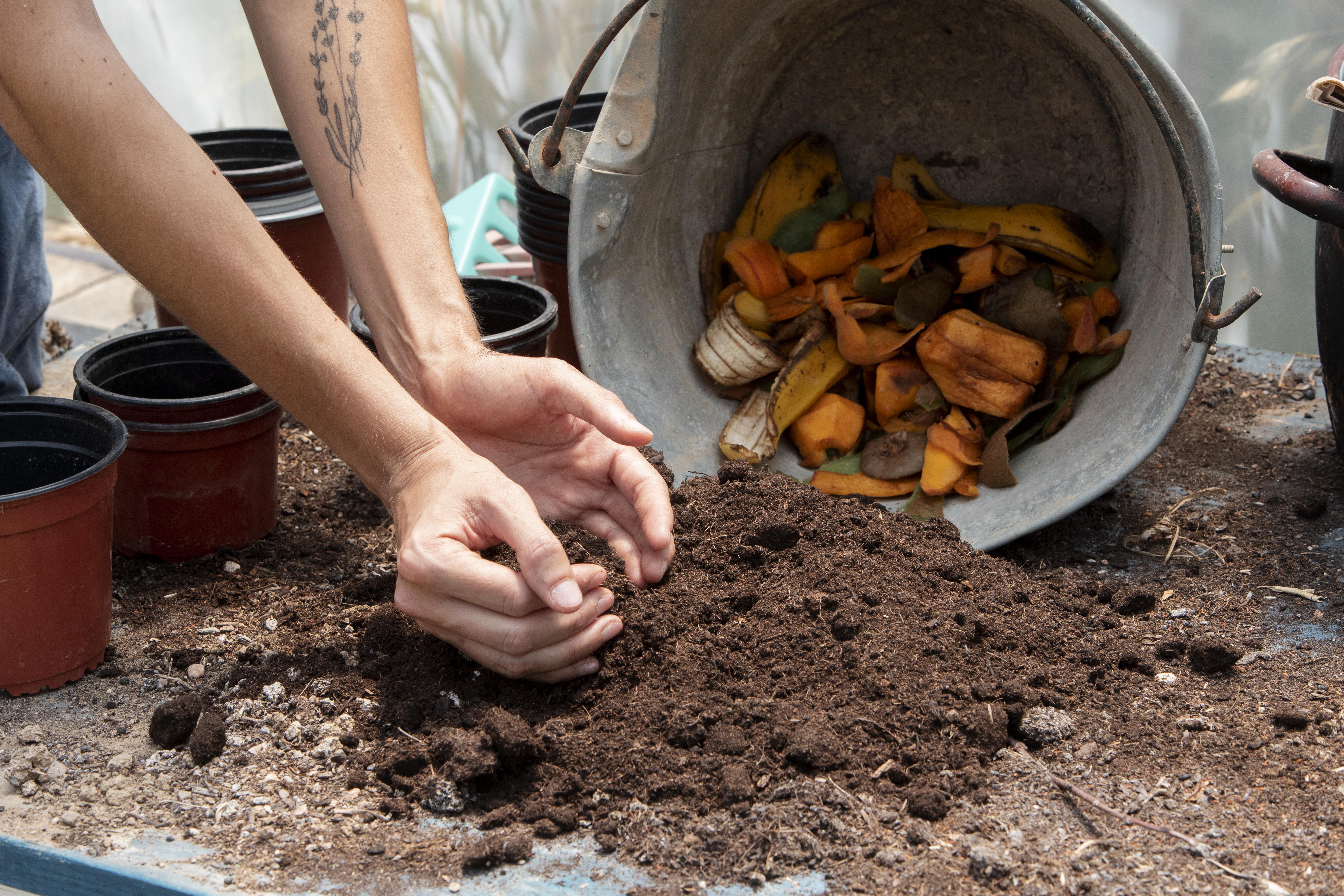 Compostagem: como fazer?