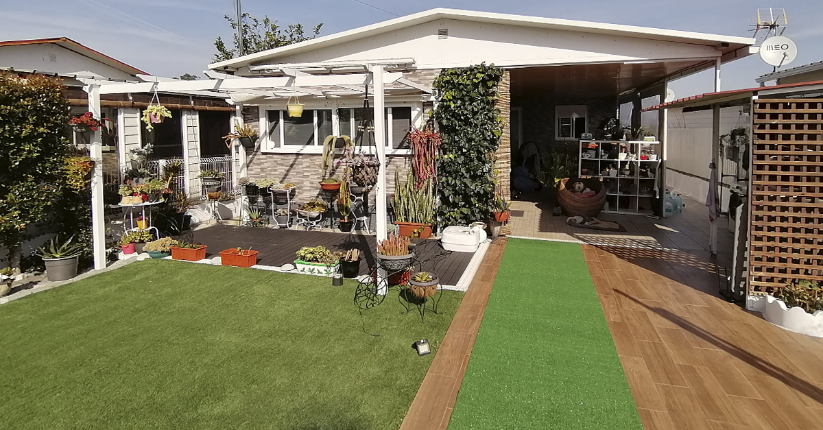Casas perfeitas para animais de estimação