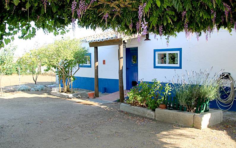 Casas no campo