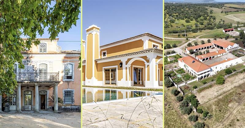 Palácios e quintas à venda