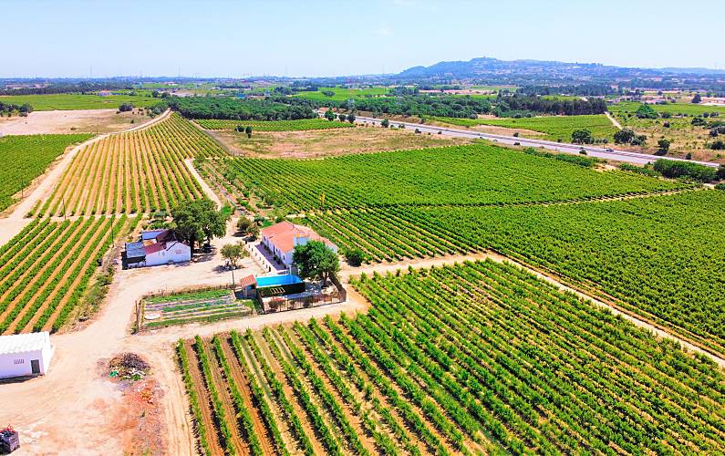 Casa no campo em Palmela