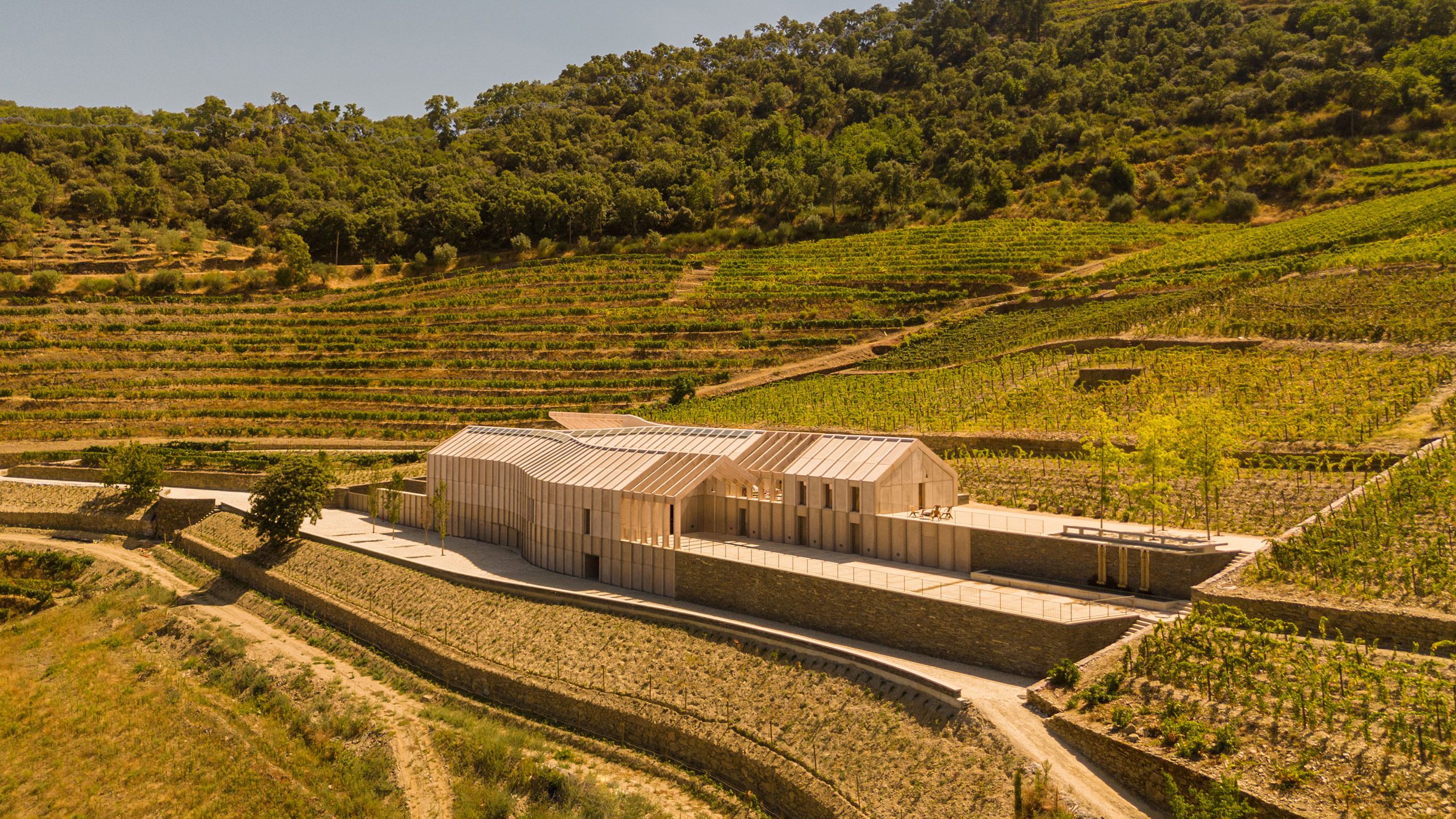Quinta de Adorigo, vale do Douro