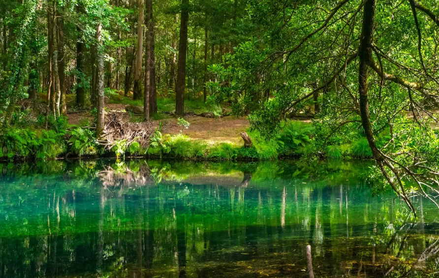Lagoa da Esturranha