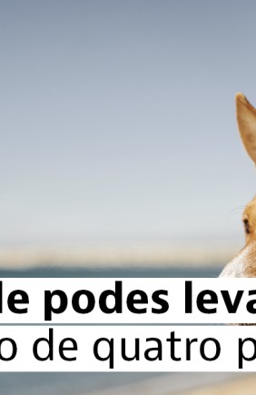 praia para animais