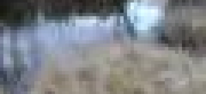 Instalações da TAP ao lado do aeroporto têm hipotecas de 92,5 milhões