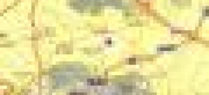 Crédito habitação: juros sobem pela 1ª vez em 2022 para 0,805%