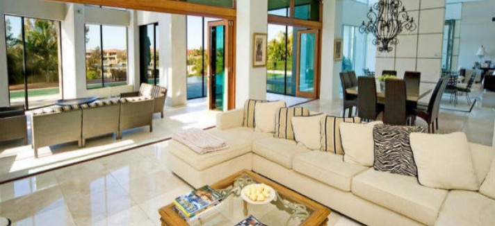 Como proteger o sofá do cão? Estes métodos são infalíveis