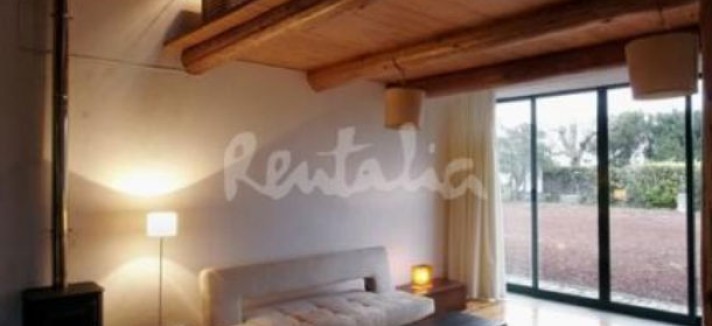 Calendário de plantações: descobre o que plantar na horta em 2023