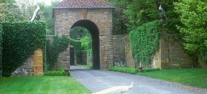 casanicolascagerhodeisland3_0