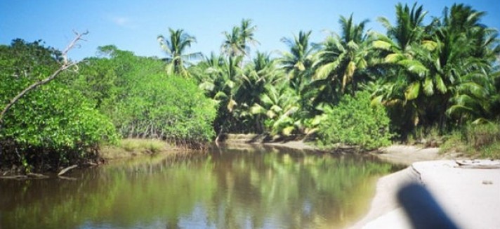 islasanjose9_0