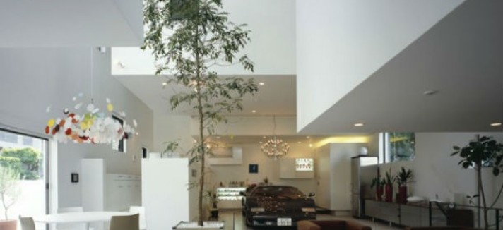 car-inside-home-black-and-white1_1