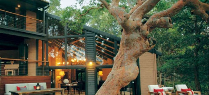 sydney-beachhouse-tree-deck_0