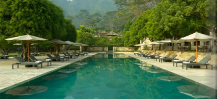 jiwo_pool8_alb