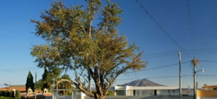 casa-ensueno-jalisco-mexico