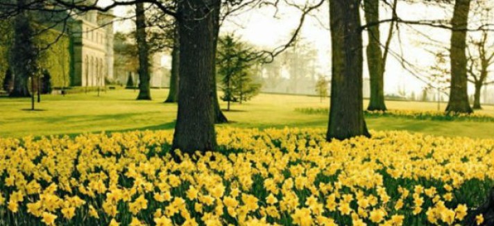 the-home-is-on-a-600-acre-lot