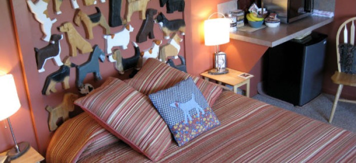 cuarto-hotel-perro_0