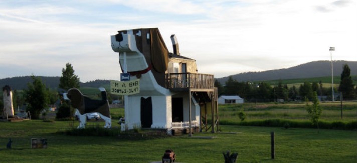 entorno-hotel-perro_0