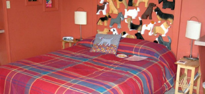 habitacion-hotel-perro_0