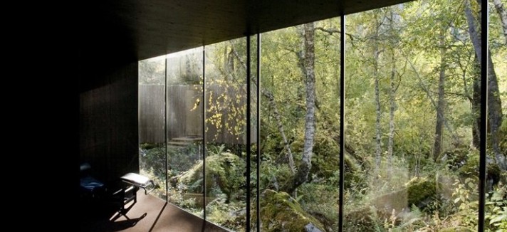 landscape20