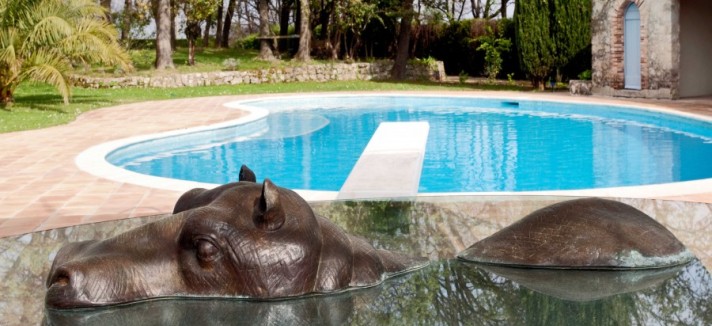 800x600_large-pool_mg_9175