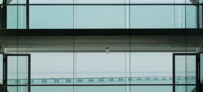 Myriad_Vista1