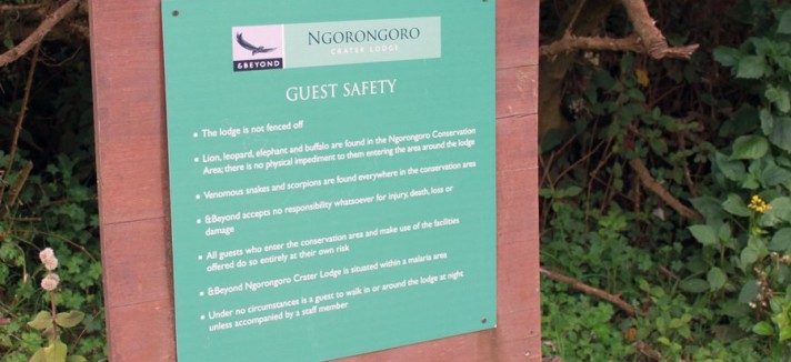 since-there-are-no-fences-around-the-camp-guests-must-abide-by-strict-safety-rules-no-one-can-wa