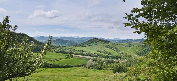 the-estate-has-rolling-green-hills-that-reach-up-to-the-apennines