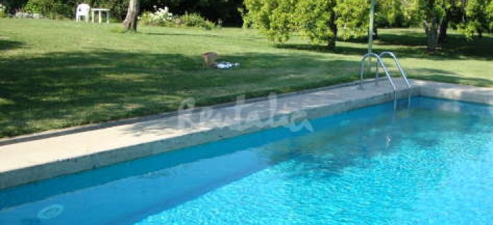 img775807_g