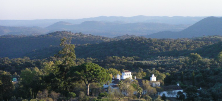 trasierra19