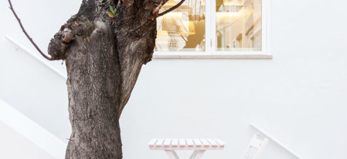 JAA_Casa_da_Severa-06