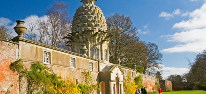 Pineapple_2240649k