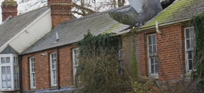 Sharkhouse_2240791k