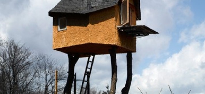 Treeteahouse_2240608k