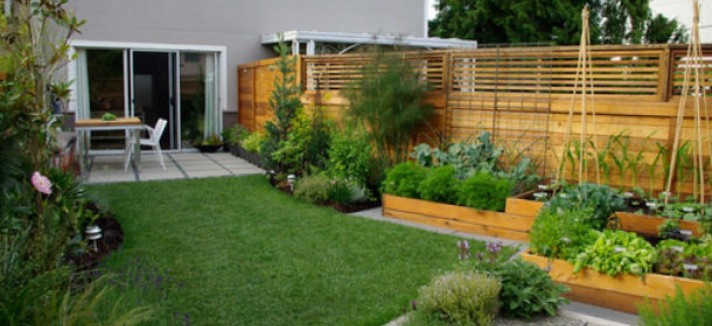 patio2