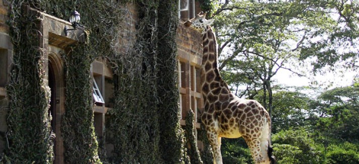 giraffe-manor-surrounding3