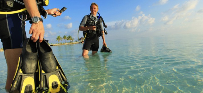 large_gallery_humleve_38738505_diving_600x400