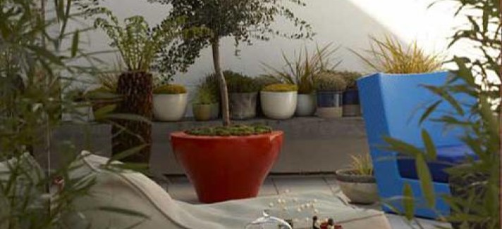 oasis_06