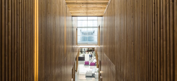 escadas_spa