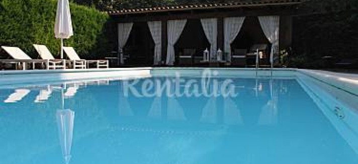 h.2920488.375.250.0.ffffff.wm_.2b1291af